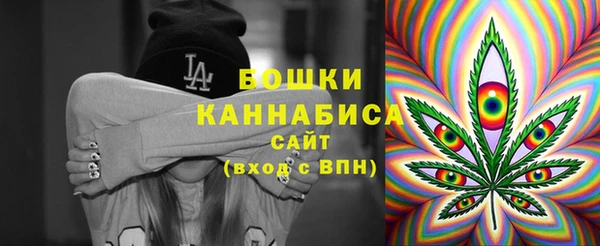 гашик Туринск