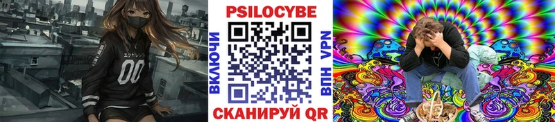 Псилоцибиновые грибы Cubensis  kraken маркетплейс  Новомичуринск 